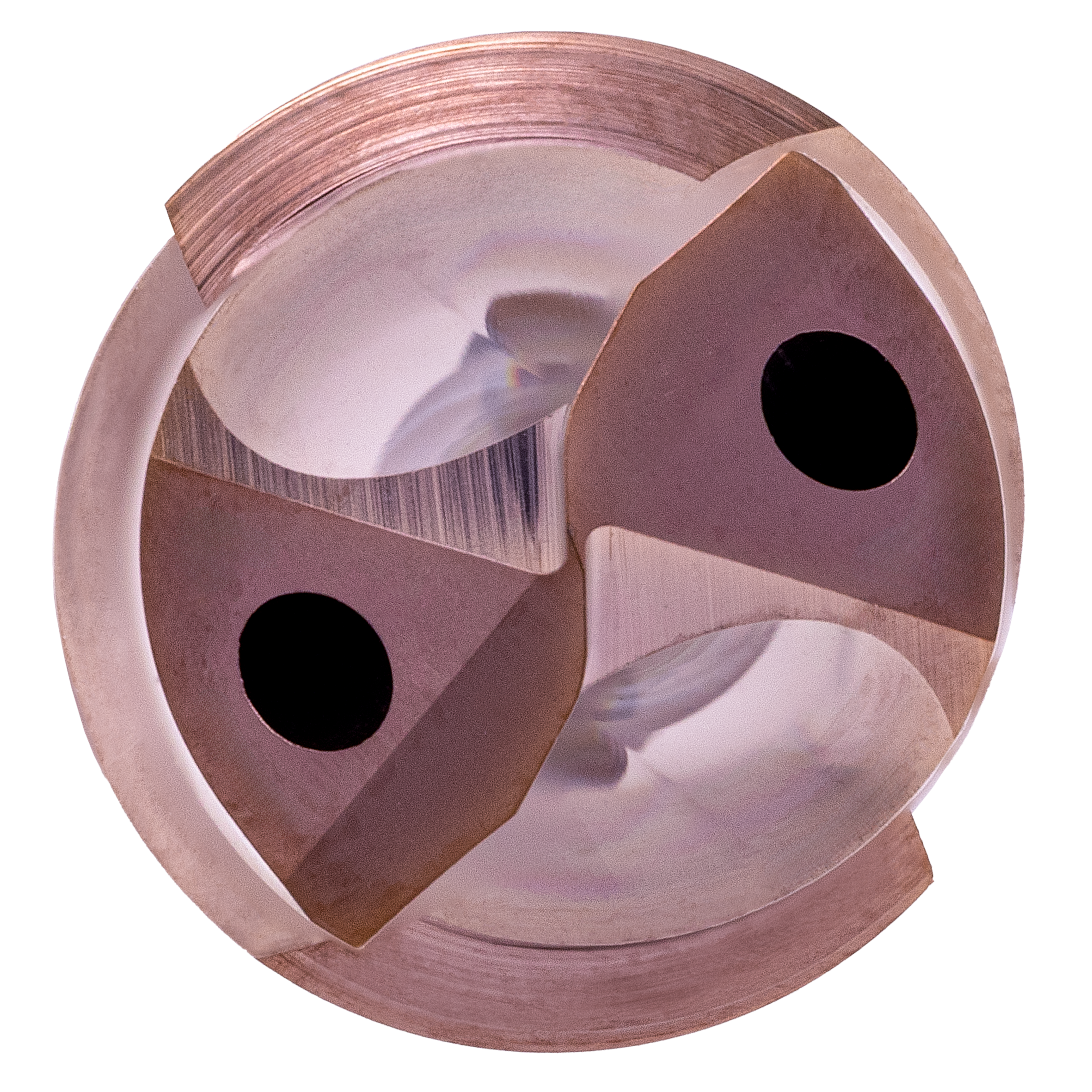 EXU1-D02-0213