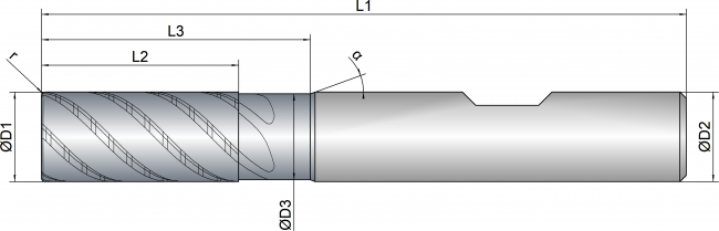 EXPK1-M02-0124