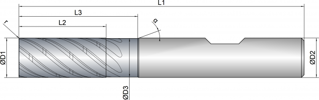 EXPK1-M03-0204